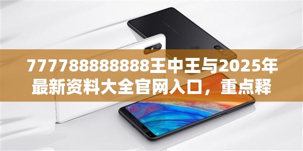 王中王