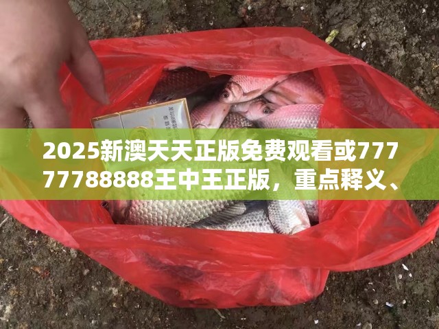 2025新澳天天正版免费观看或77777788888王中王正版，重点释义、解释与落实,警惕不实的钓鱼钩